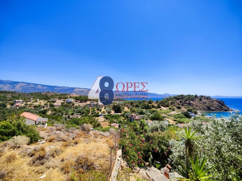 Chios, Aegean, Greece 5 - 14441941