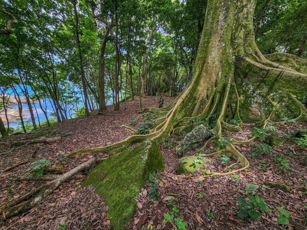 Land in Ilhabela, State of São Paulo, Brazil 5 - 14445245
