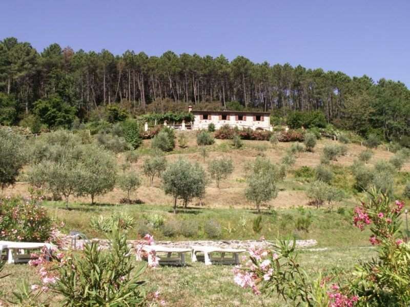 Estate in Compitese, Capannori, Tuscany 1 - 14447515