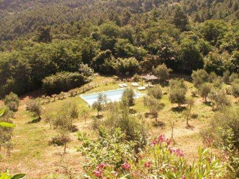 Estate in Compitese, Capannori, Tuscany 4 - 14447515