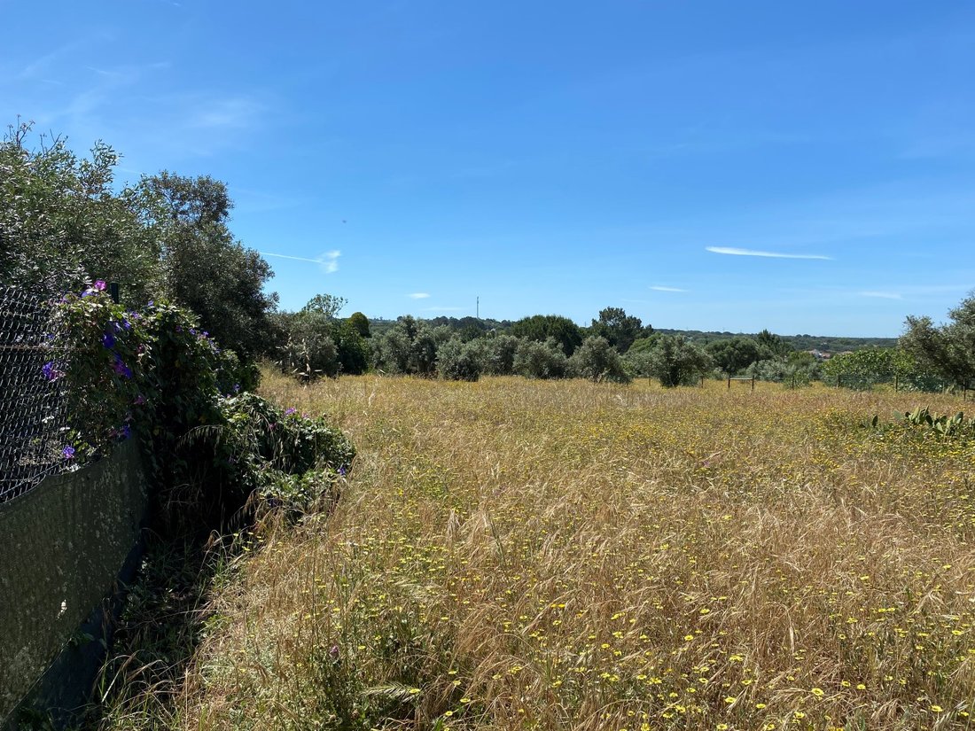 Land in Melides, Setubal, Portugal 3 - 14445970