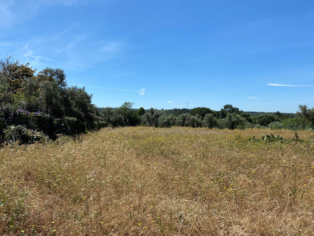 Land in Melides, Setubal, Portugal 5 - 14445970