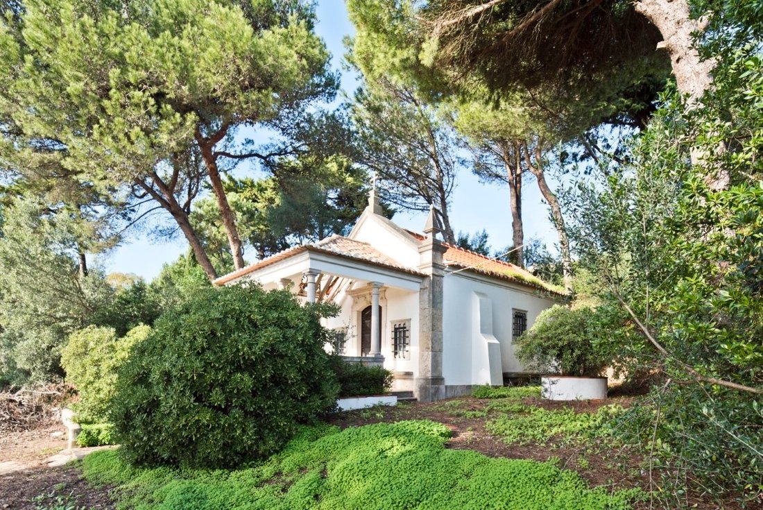 Villa in Alcabideche, Lisbon, Portugal 3 - 14445990