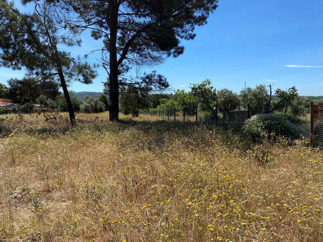 Land in Melides, Setubal, Portugal 4 - 14445970