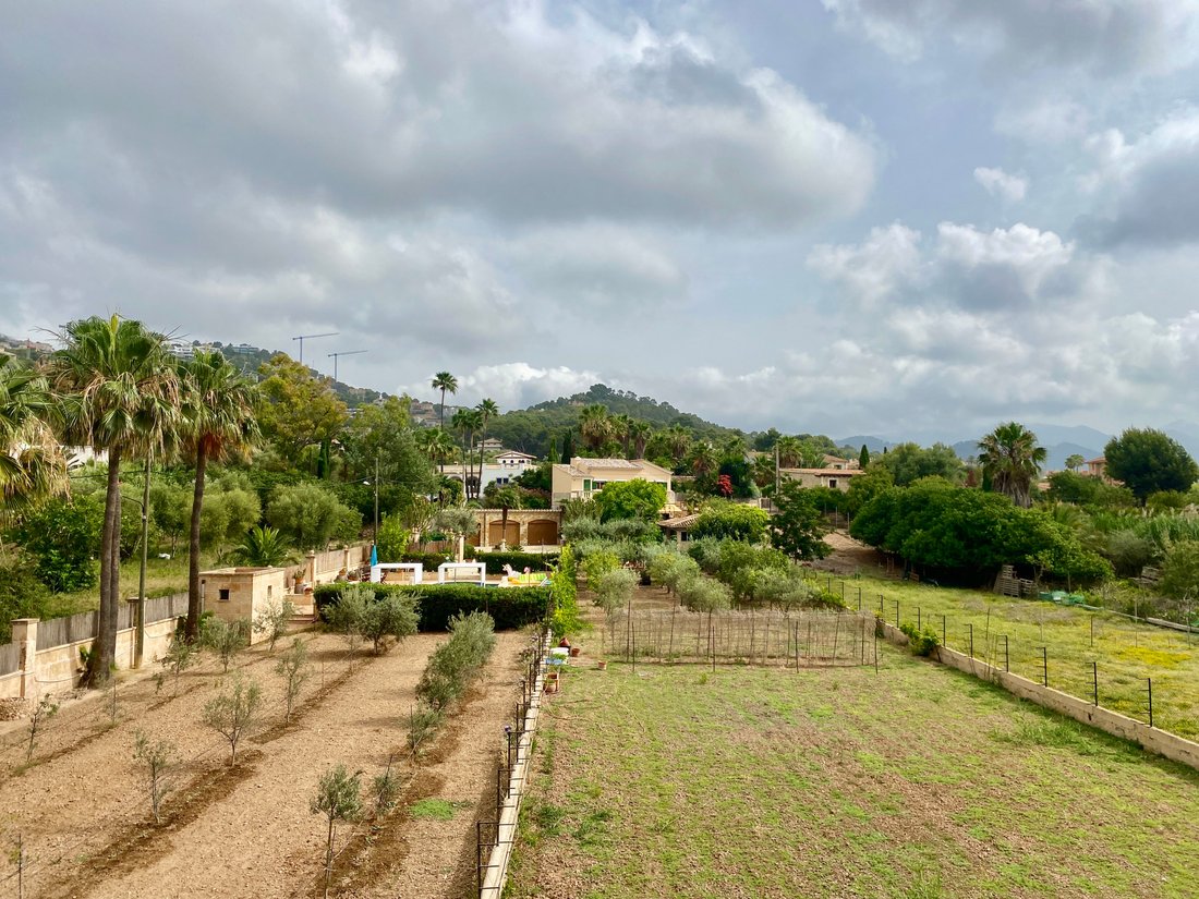 Apartment in Port d'Andratx, Andratx, Balearic Islands 5 - 14446713