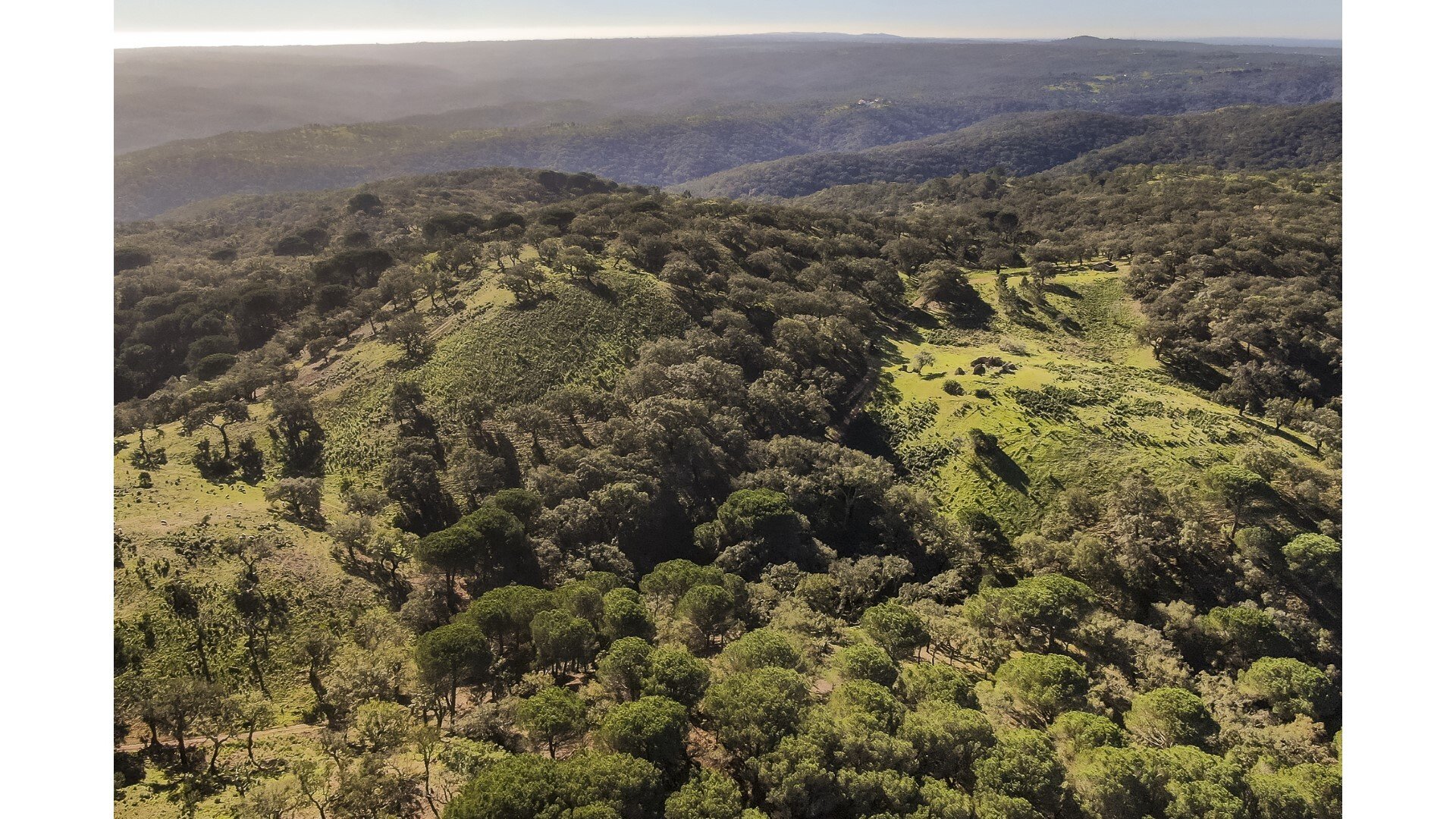 Land for sale in Grândola, Portugal — €550,000