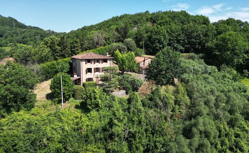 Azienda agricola a Lucca, Toscana, Italia 1