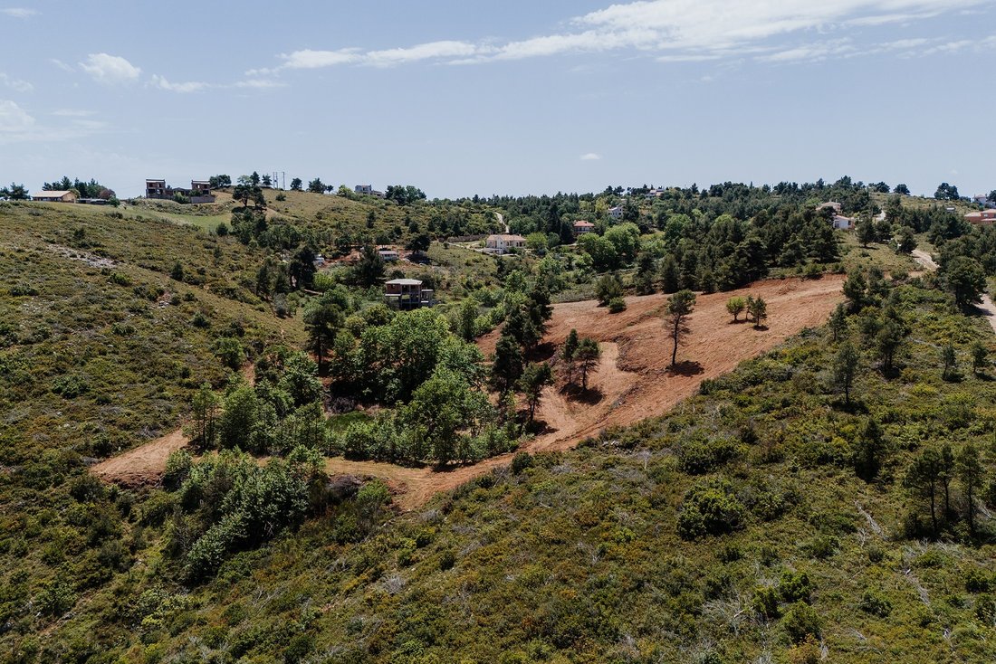 Land in Oropos, Attica, Greece 5 - 14448869