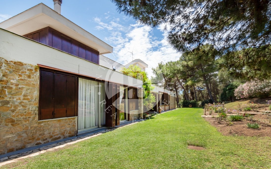 Villa in Center, Piombino, Tuscany 3 - 14268438