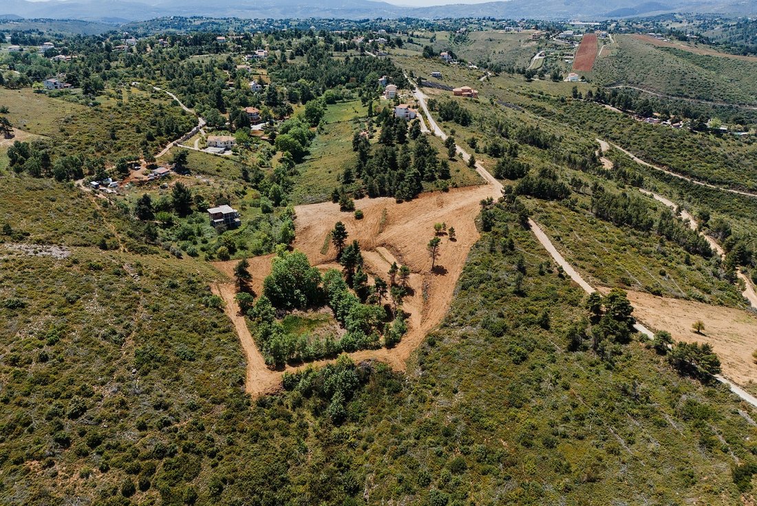 Land in Oropos, Attica, Greece 4 - 14448869