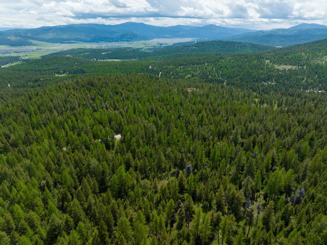 Land in Kalispell, Montana, United States 5 - 14453885