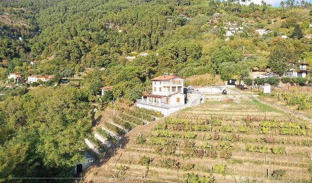 Villa in Pietrasanta, Tuscany, Italy 4 - 14454943