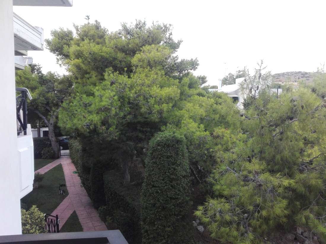 House in Vouliagmeni, Attica, Greece 5 - 14455002