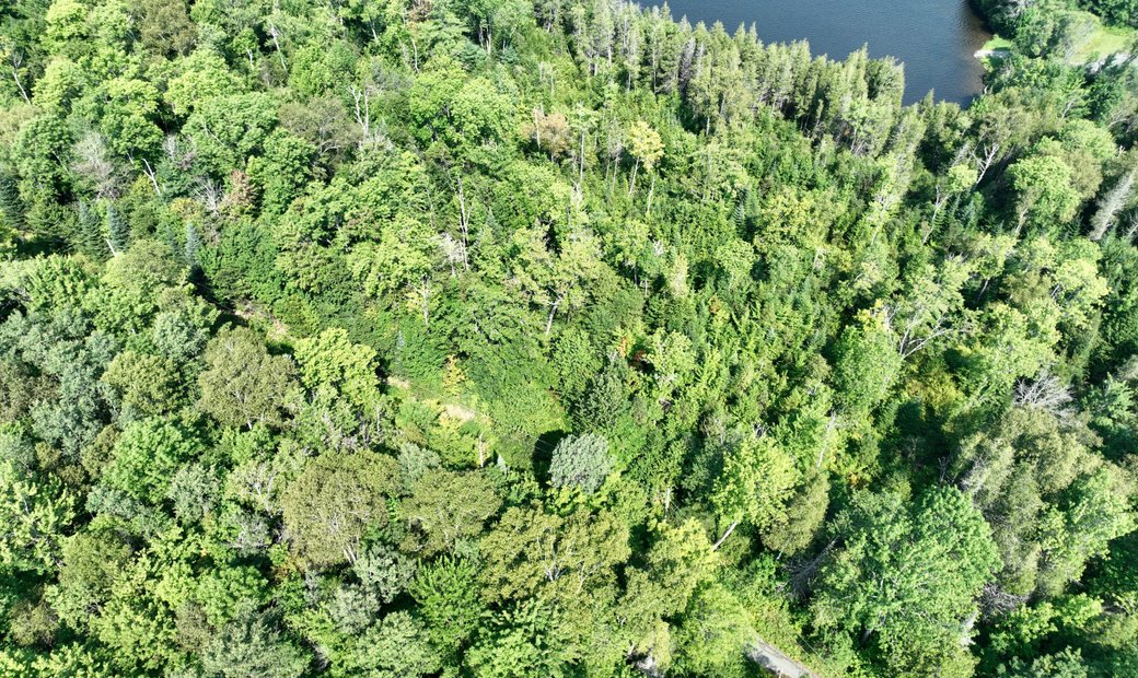 Nine Acres In Peacham With Lake Frontage In Peacham, Vermont, United