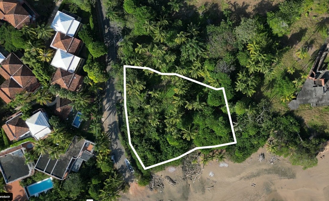 Land in Pedasi, Los Santos Province, Panama 3 - 14460061