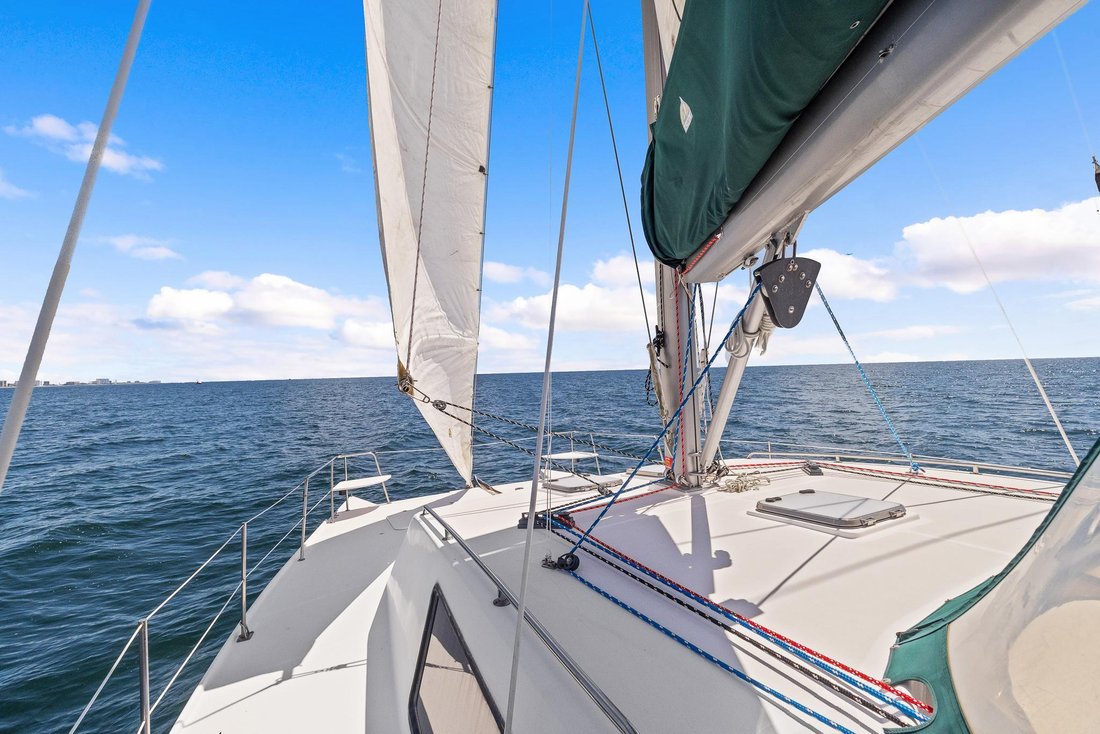 Catamaran in United States 4 - 14455673