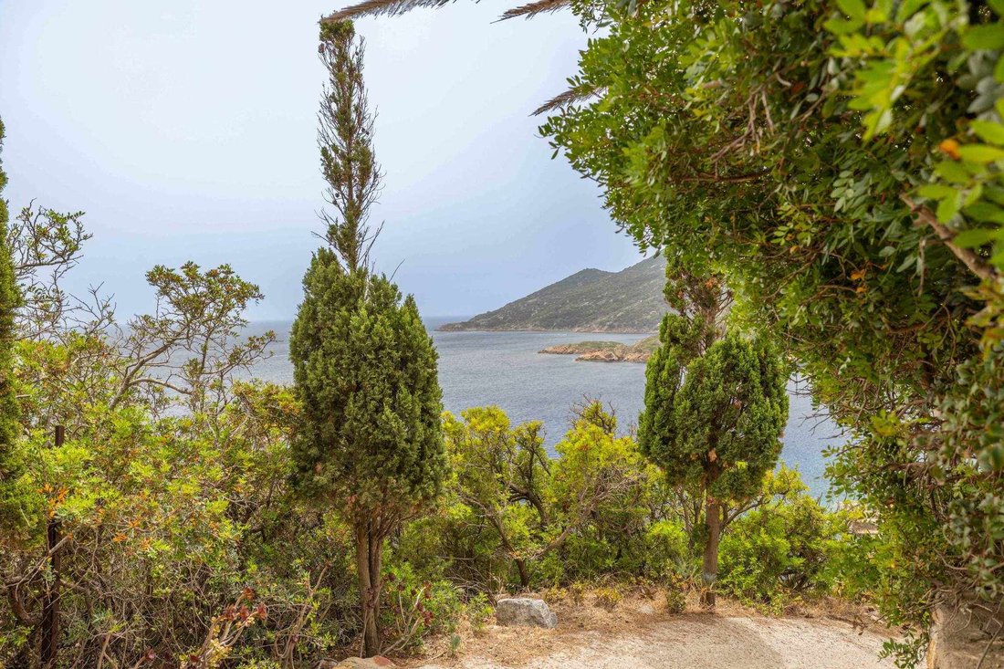 Apartment in Cala Spalmatoio, Tuscany, Italy 5 - 14269601