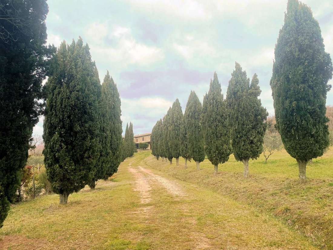 Country House in Castelnuovo di Val di Cecina, Tuscany, Italy 3 - 14457090