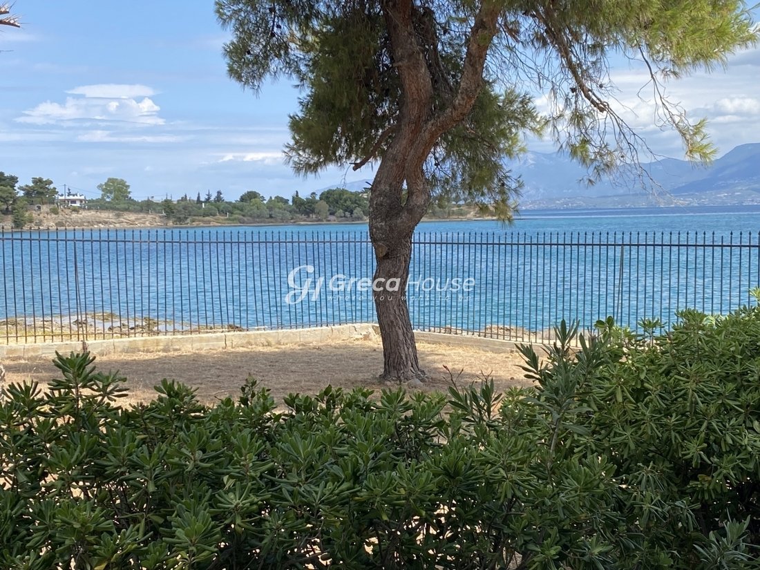 Villa in Drosia Municipal Commune, Anthidon, Greece 3 - 14405749