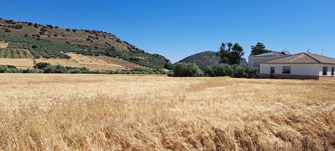 Land in Cuevas del Becerro, Andalusien, Spanien 5 - 14457593