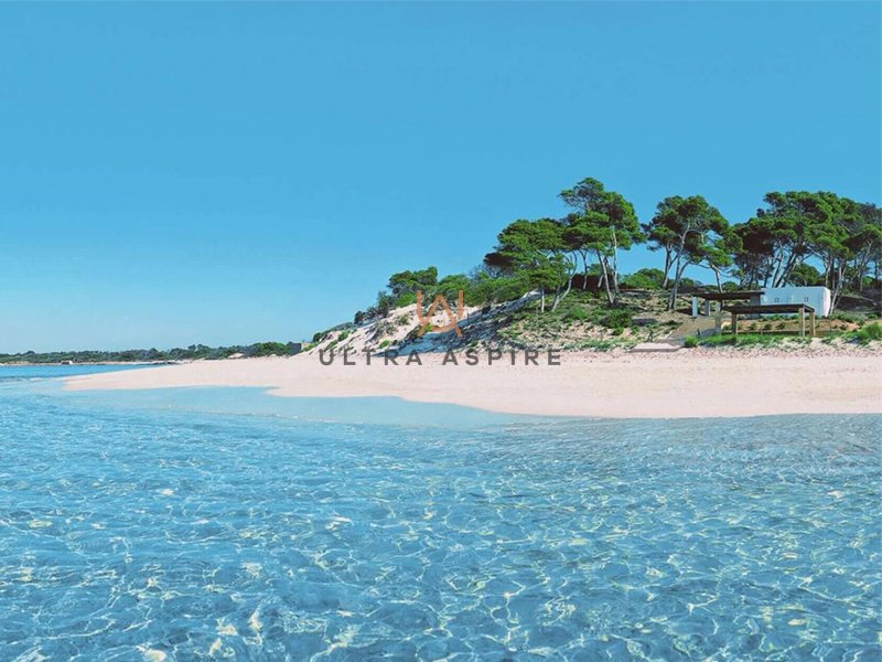 Apartment in ses Salines, Balearic Islands, Spain 3 - 14461209