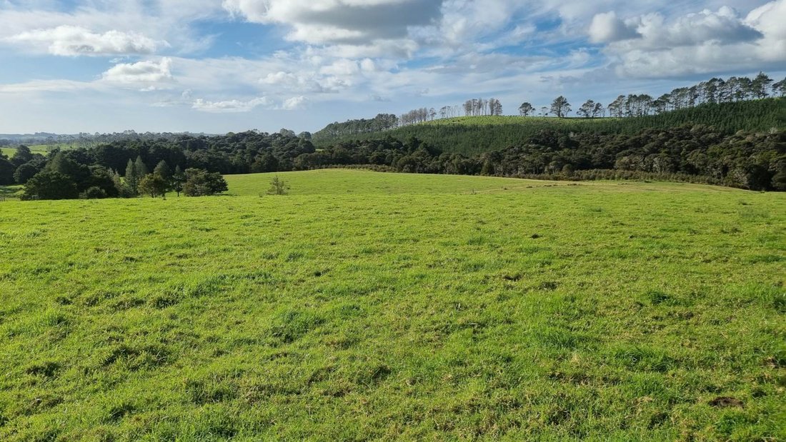 Farm Ranch in Kerikeri, Northland, New Zealand 3 - 14462600