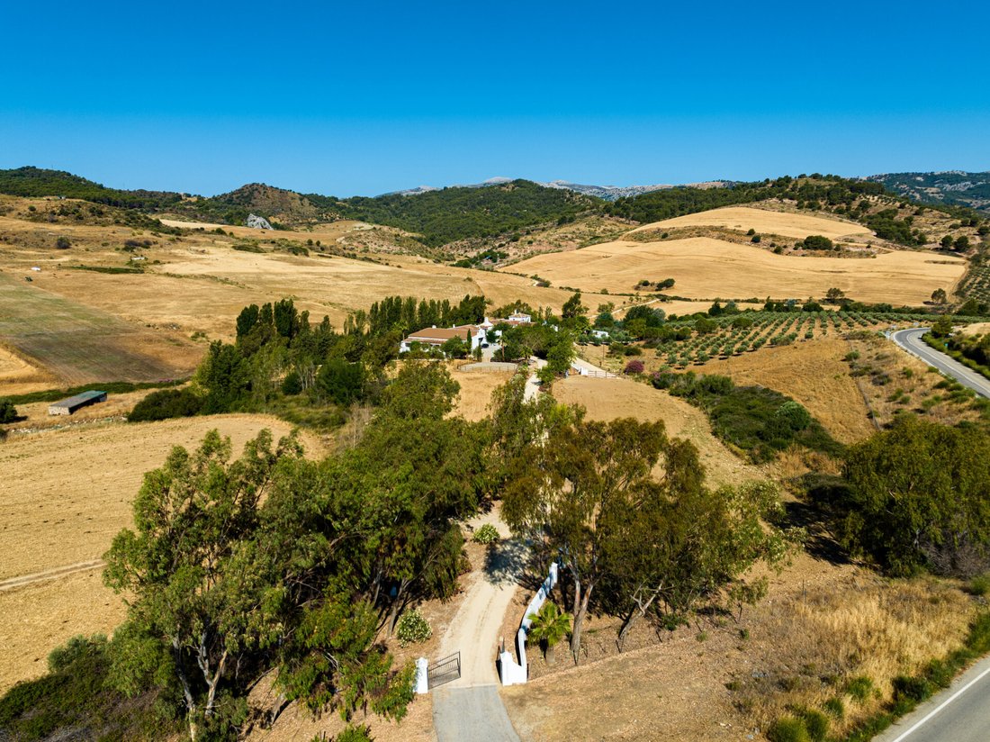 Finca in El Burgo, Andalusia, Spain 4 - 14462352