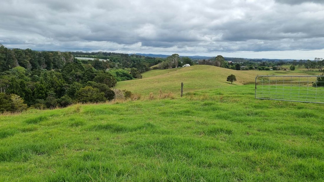 Farm Ranch in Kerikeri, Northland, New Zealand 5 - 14462600