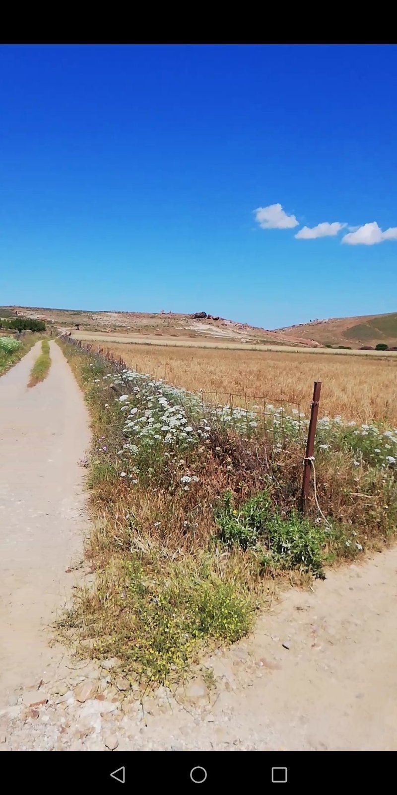 Land in Lemnos, Aegean, Greece 1 - 14463366
