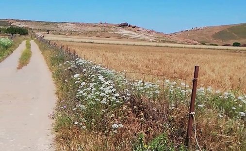 Land in Lemnos, Aegean, Greece 1