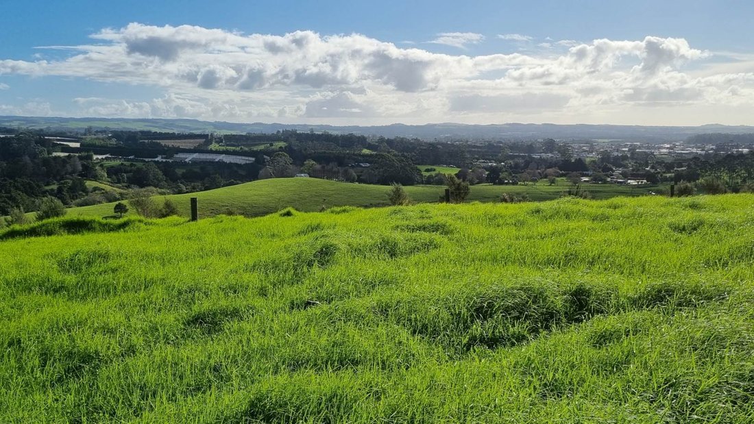 Farm Ranch in Kerikeri, Northland, New Zealand 2 - 14462600