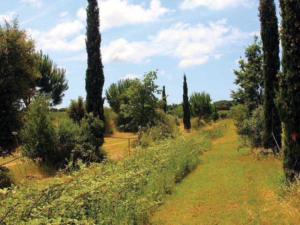 Castle of Castiglione, Castiglione della Pescaia, Tuscany 3 - 14462087