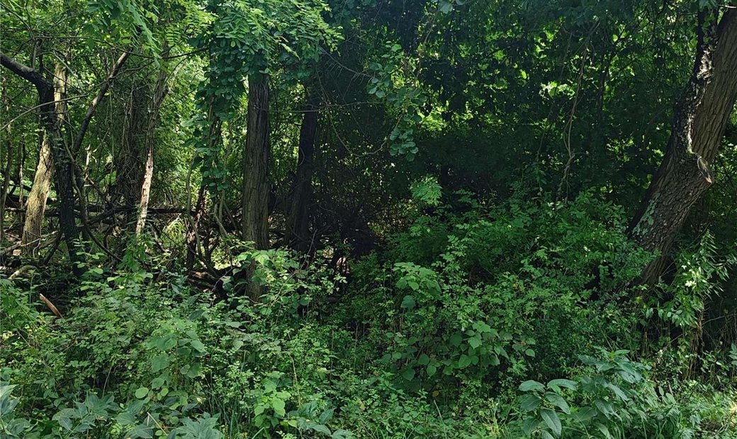 Land Southold In Southold, New York, United States For Sale (14461950)