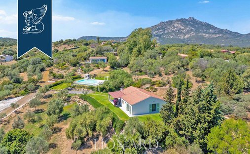 Villa in Porto Rotondo, Olbia, Sardinia 1