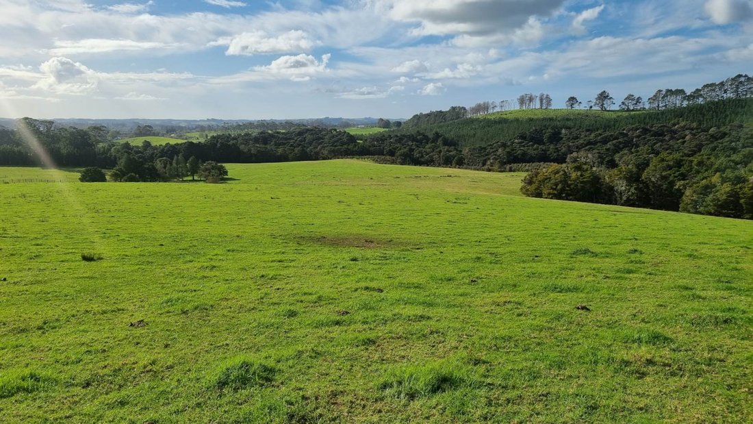 Farm Ranch in Kerikeri, Northland, New Zealand 4 - 14462600