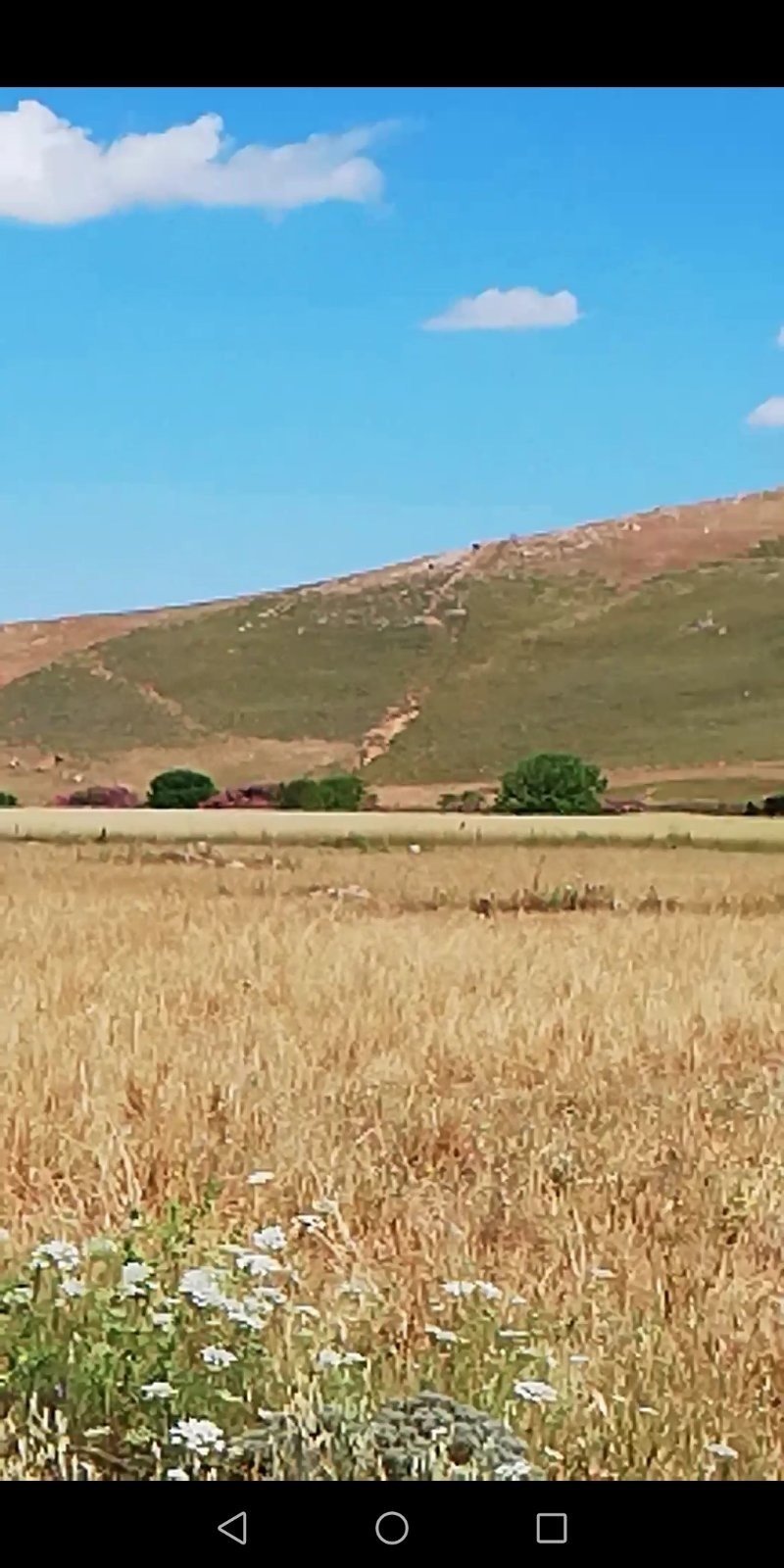 Land in Lemnos, Aegean, Greece 4 - 14463366