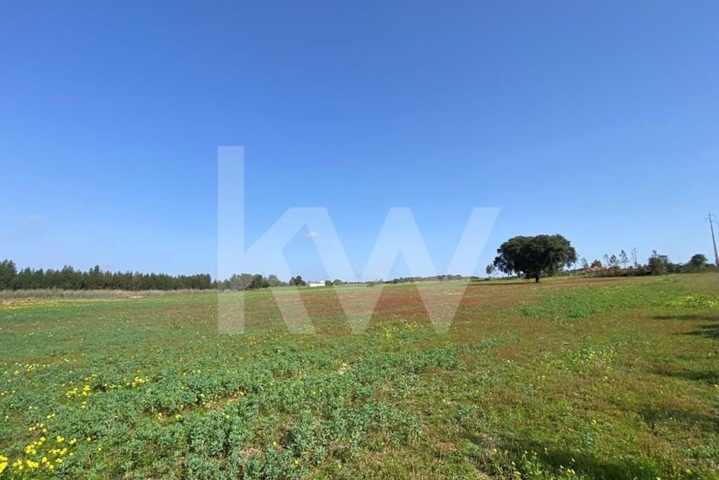 Grândola Town House In Melides, Setubal, Portugal For Sale (14464190)