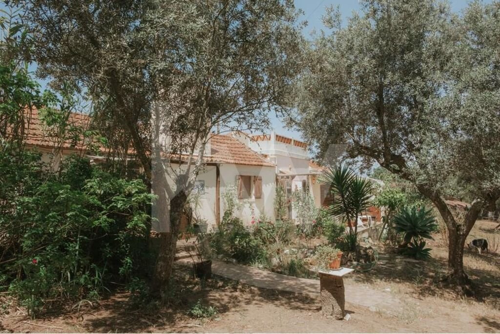 Farm Ranch in Grandola e Santa Margarida da Serra, Setubal, Portugal 1 - 14464785