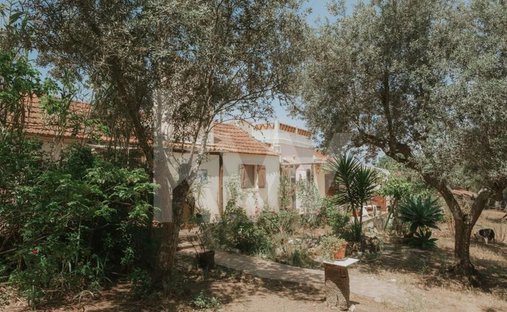 Terreno a Grandola e Santa Margarida da Serra, Setúbal Municipality, Portogallo 1