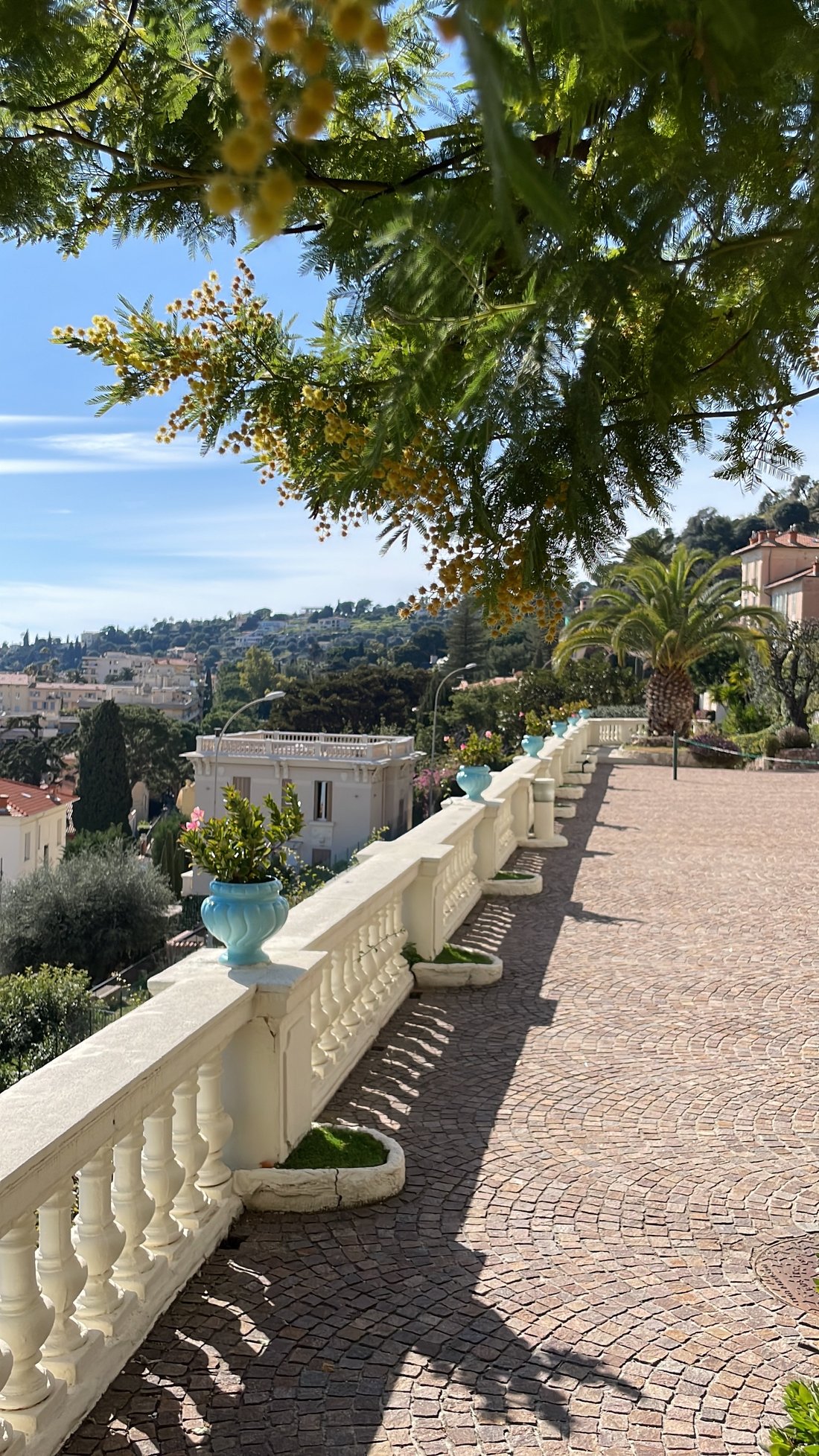 Apartment in Beaulieu-sur-Mer, Provence-Alpes-Côte d'Azur, France 5 - 14463776