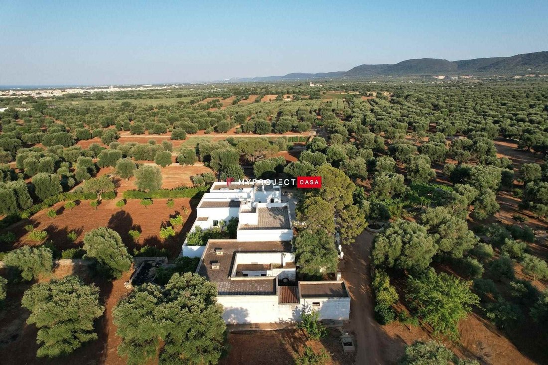 Country House in Selva di Fasano, Apulia, Italy 3 - 14464644