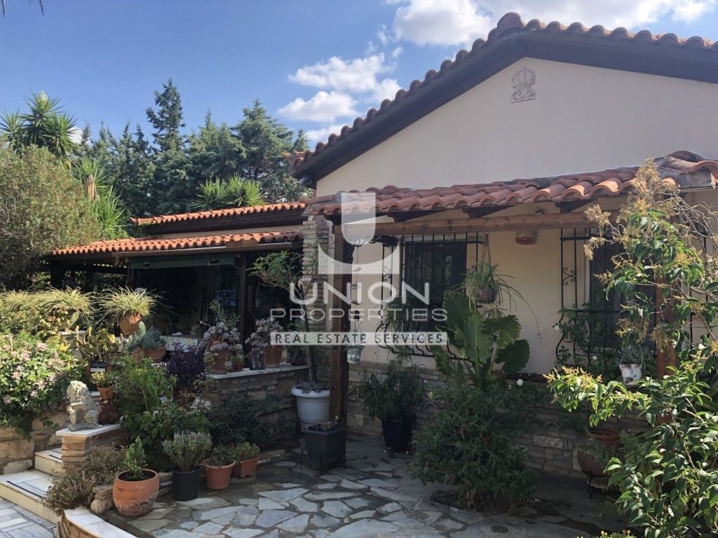 House in Kropia, Attica, Greece 1 - 14468613