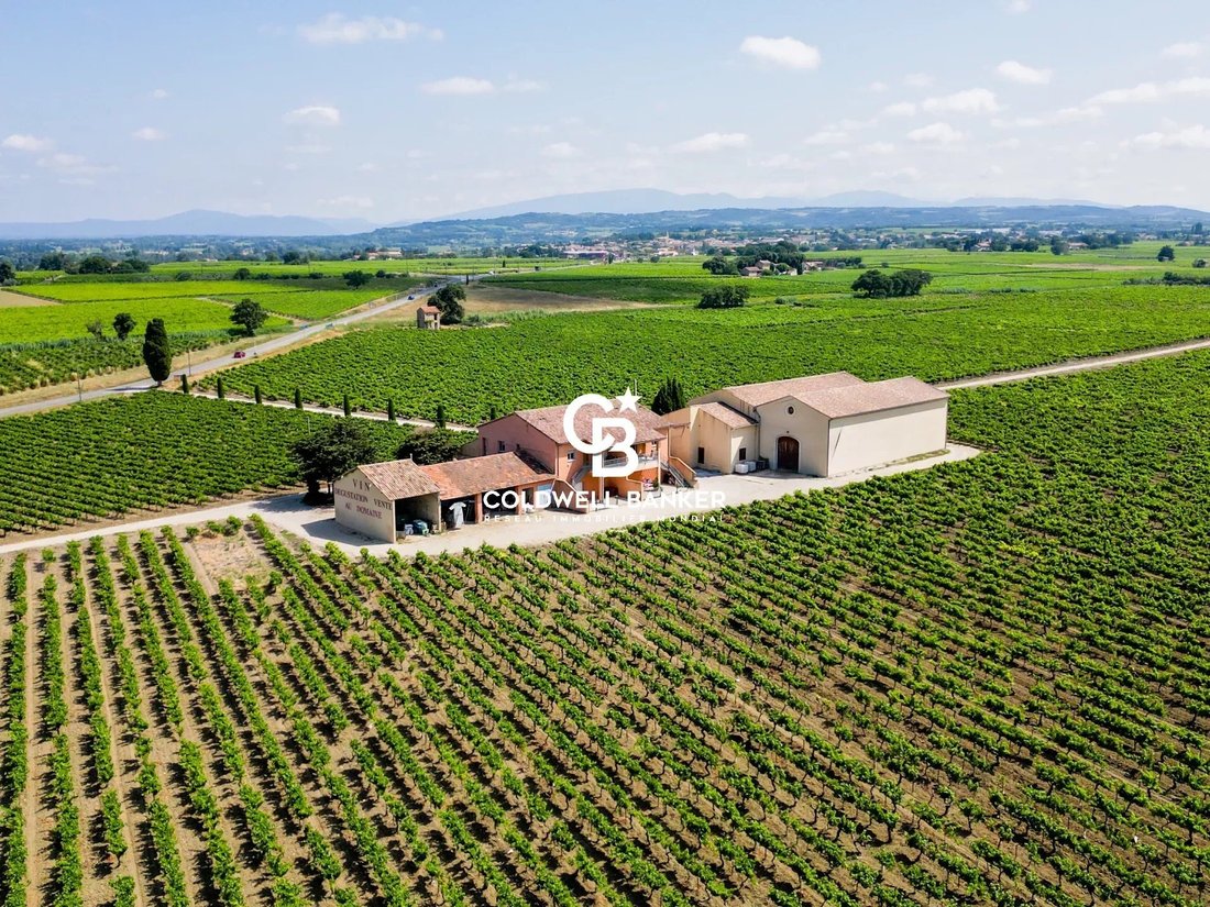 Wine Estate 75ha In Orange, Provence Alpes Côte D'azur, France For Sale