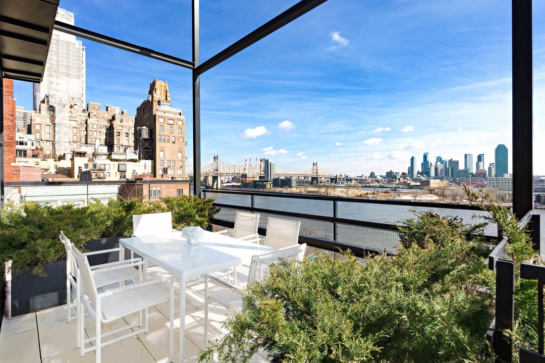 House in New York, New York, United States 1 - 14465064
