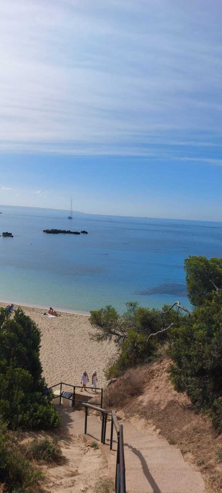 Apartment in Portals Nous, Calvia, Balearic Islands 4 - 14469764