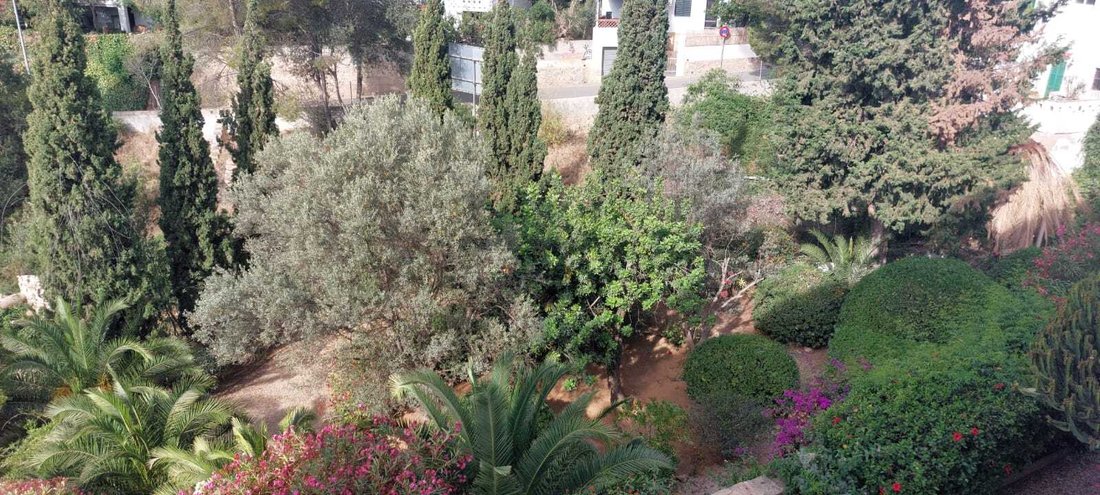 Apartment in Portals Nous, Calvia, Balearic Islands 5 - 14469764