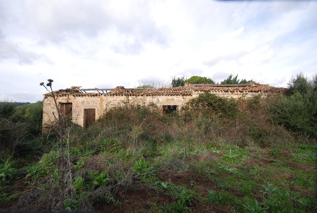 Farm Ranch in Sant'Antonio di Gallura, Sardinia, Italy 2 - 14474096