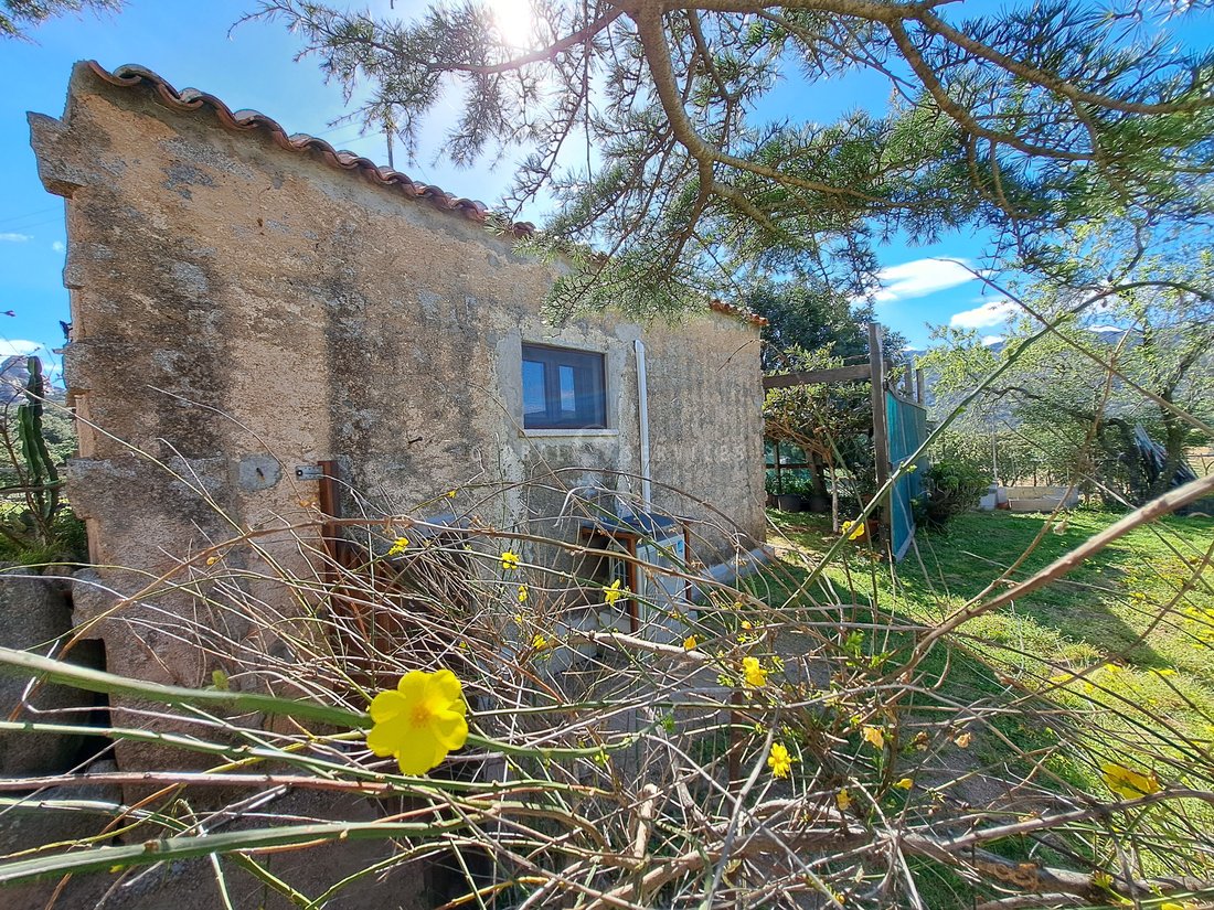 Villa in Sant'Antonio di Gallura, Sardinia, Italy 3 - 14474081