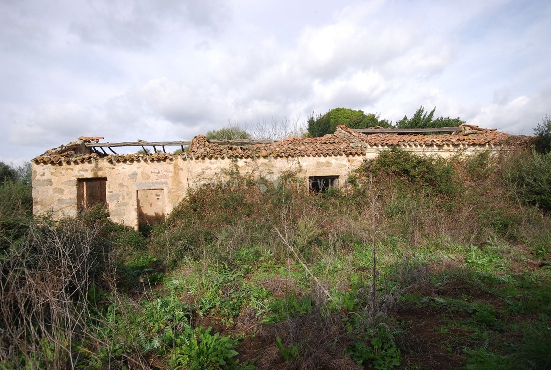 Farm Ranch in Sant'Antonio di Gallura, Sardinia, Italy 1 - 14474096