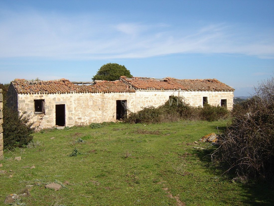 Farm Ranch in Sant'Antonio di Gallura, Sardinia, Italy 4 - 14474096